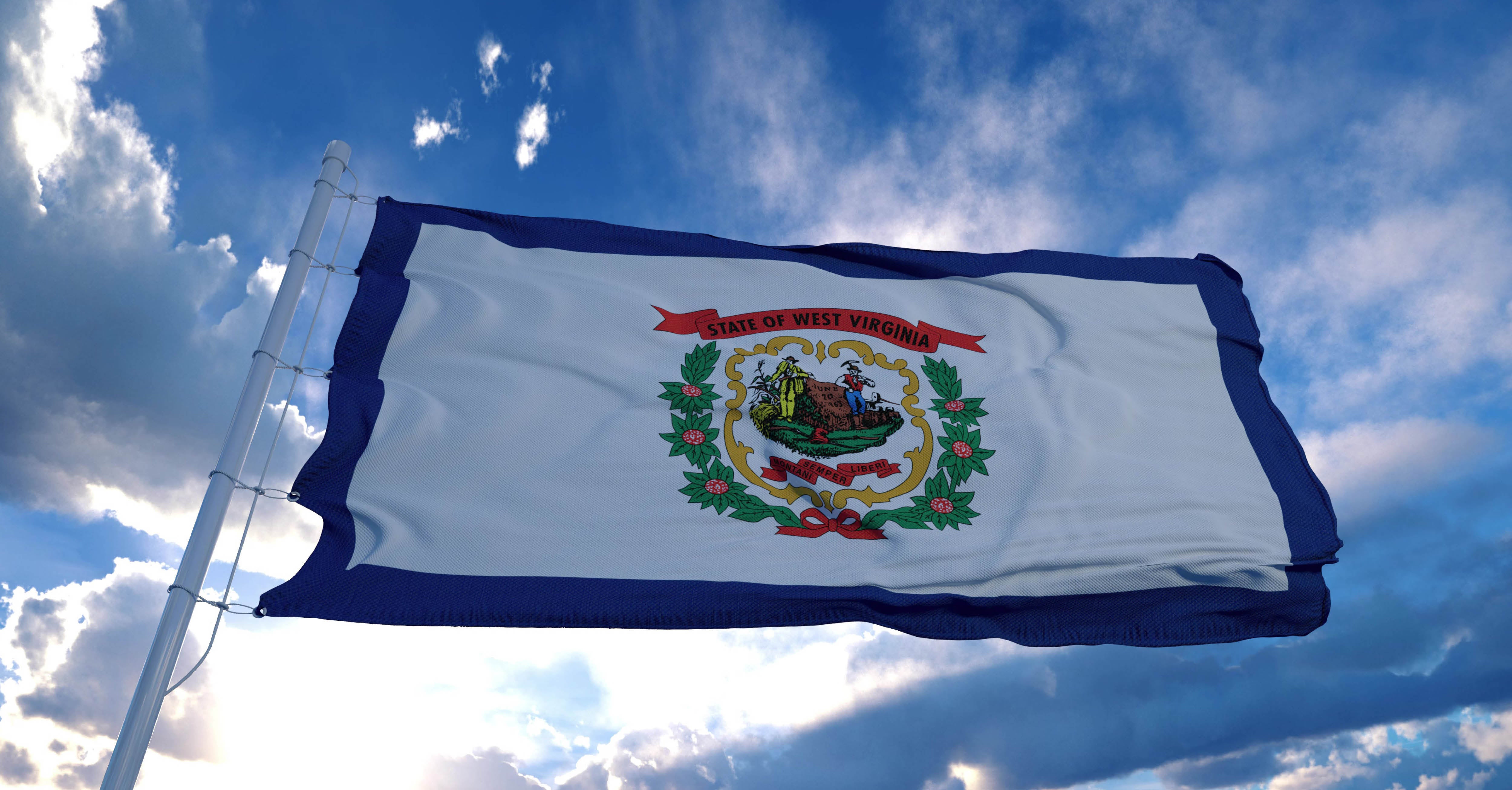 West Virginia State Flag