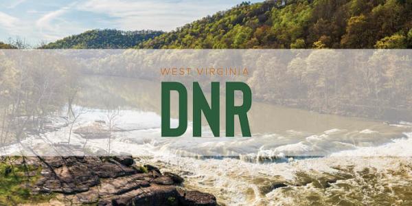 DNR logo over waterfall 