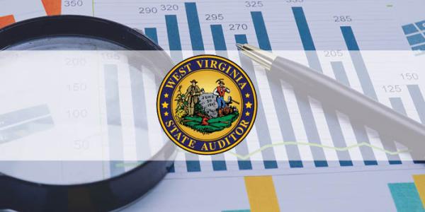 Audit logo over photo of spreadsheets 